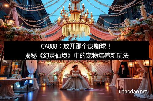 CA888：放开那个皮咖球！揭秘《幻灵仙境》中的宠物培养新玩法